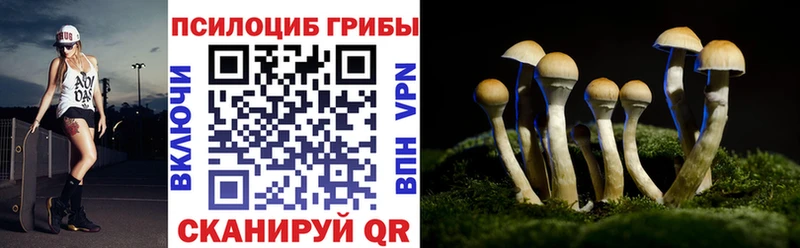 Галлюциногенные грибы Psilocybine cubensis  где продают наркотики  Верхняя Тура 